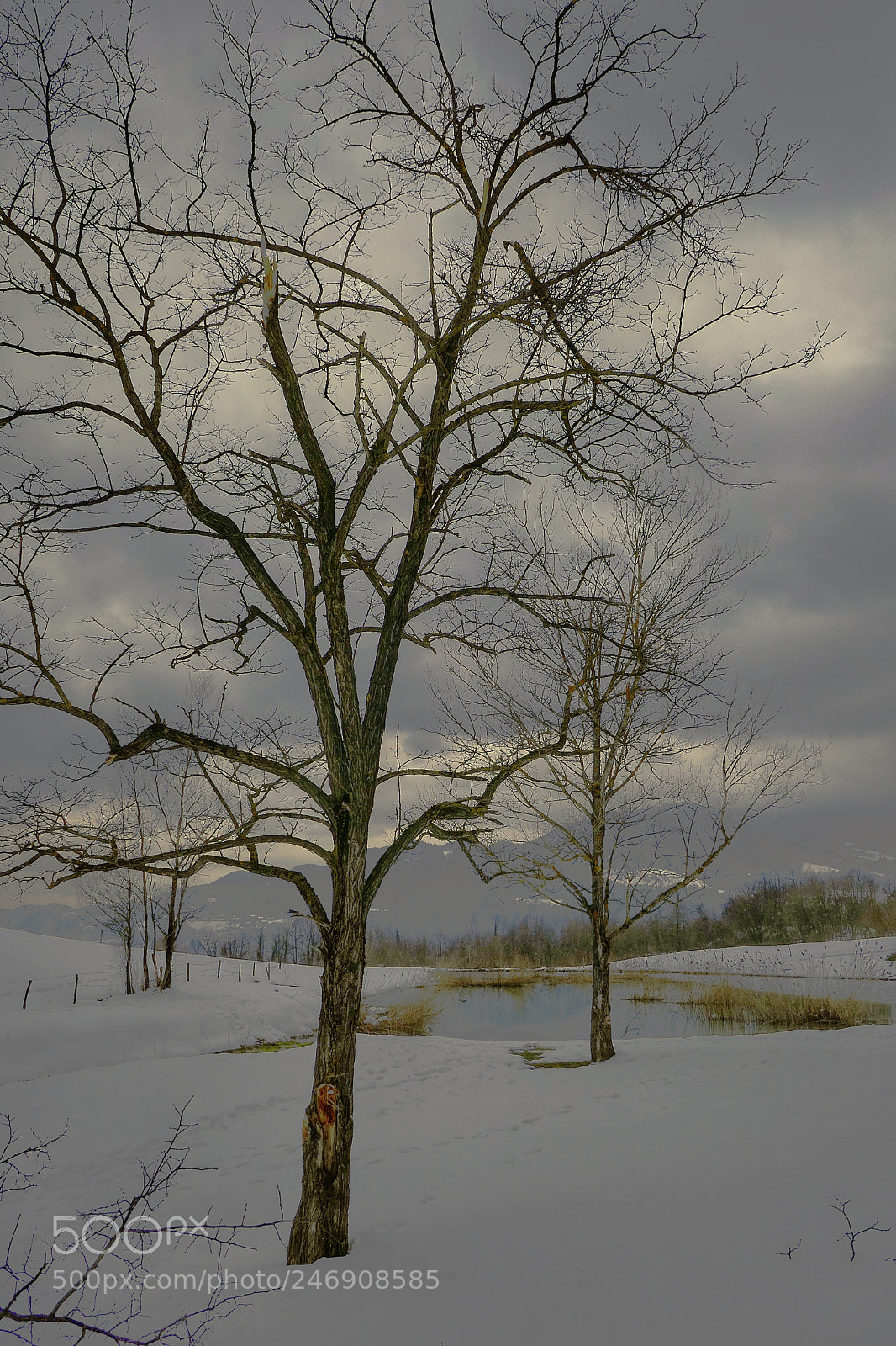 Panasonic Lumix DMC-ZS100 (Lumix DMC-TZ100) sample photo. It's getting dark photography