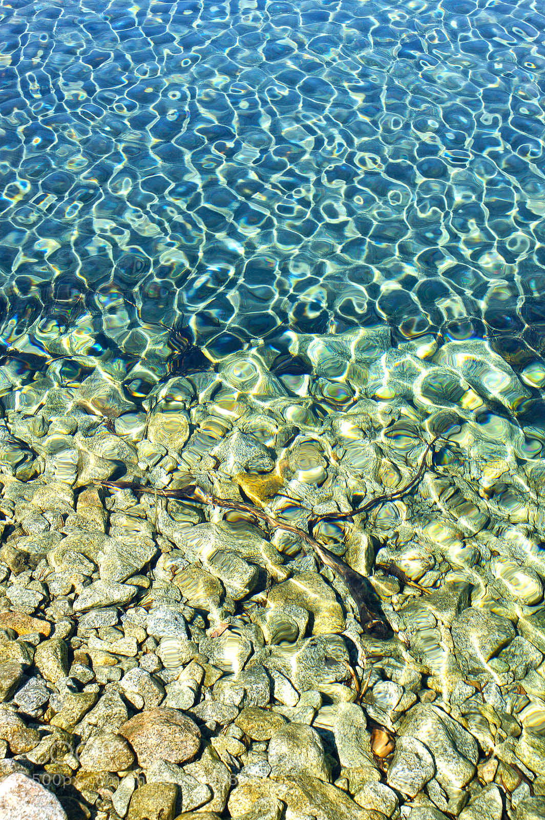 Sony Alpha DSLR-A700 sample photo. Fresh water beauty 4 photography