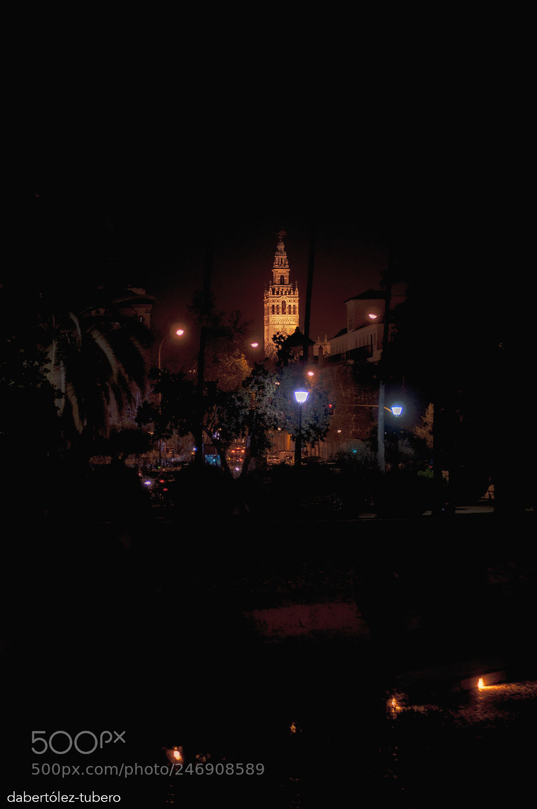 Nikon D90 sample photo. Entre las palmeras... photography