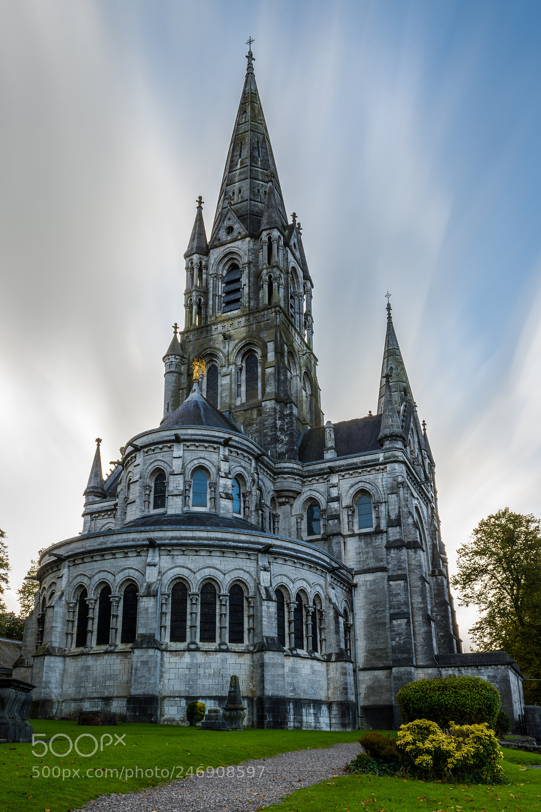Nikon D5600 sample photo. Saint fin barre's cathedral photography