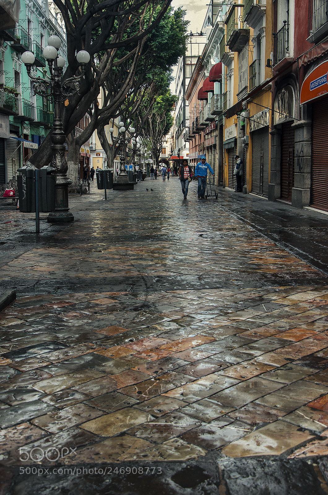 Nikon D5100 sample photo. Walking photography