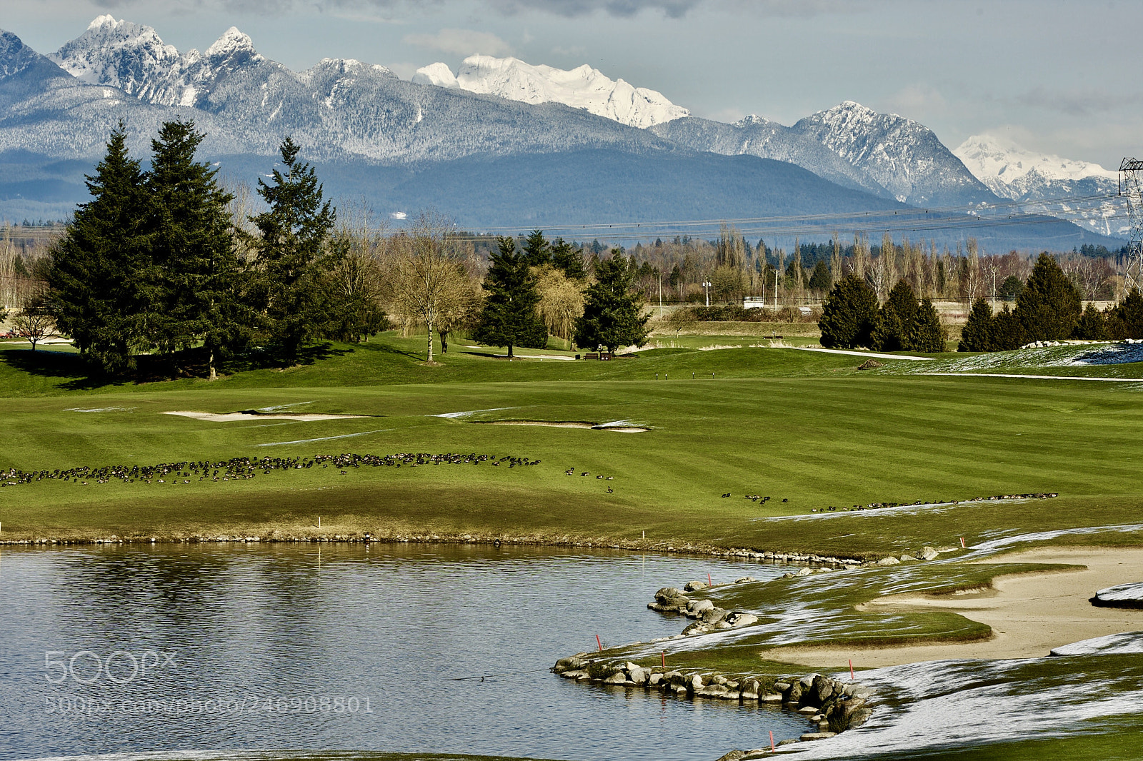 Canon EOS-1D Mark III sample photo. Northview golf club surrey photography