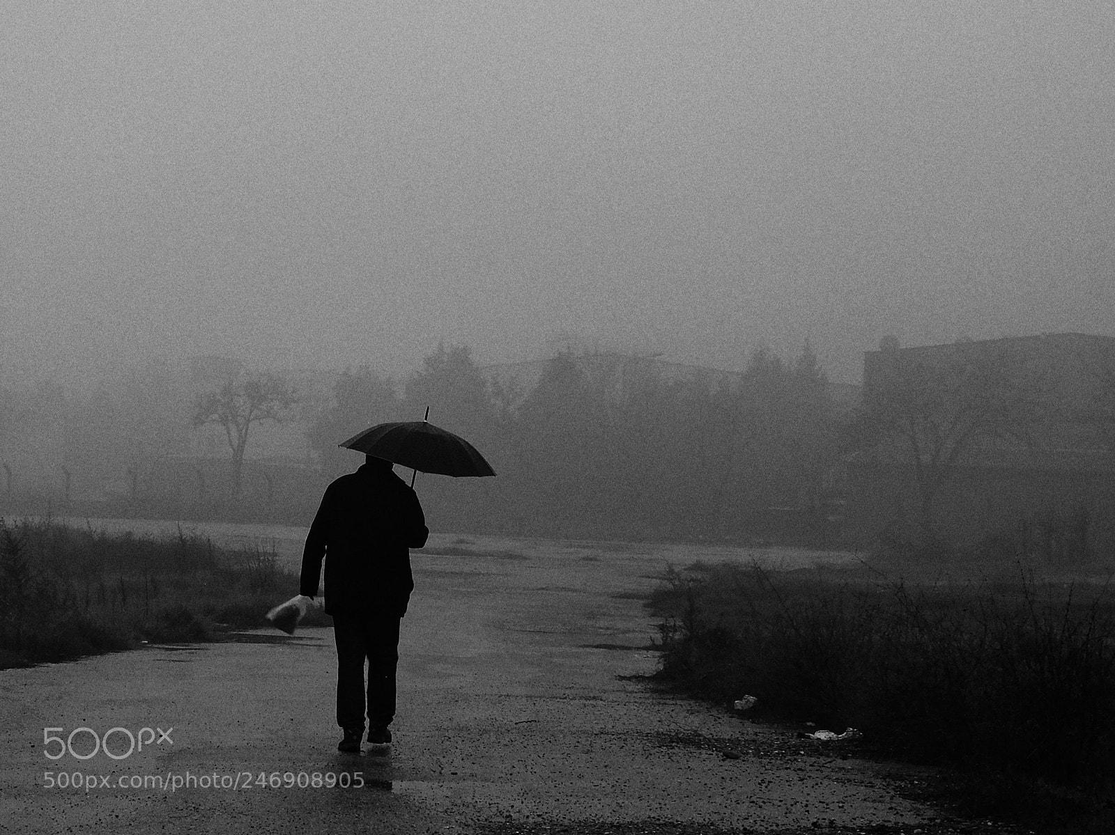 Fujifilm X-T10 sample photo. Untitled photography