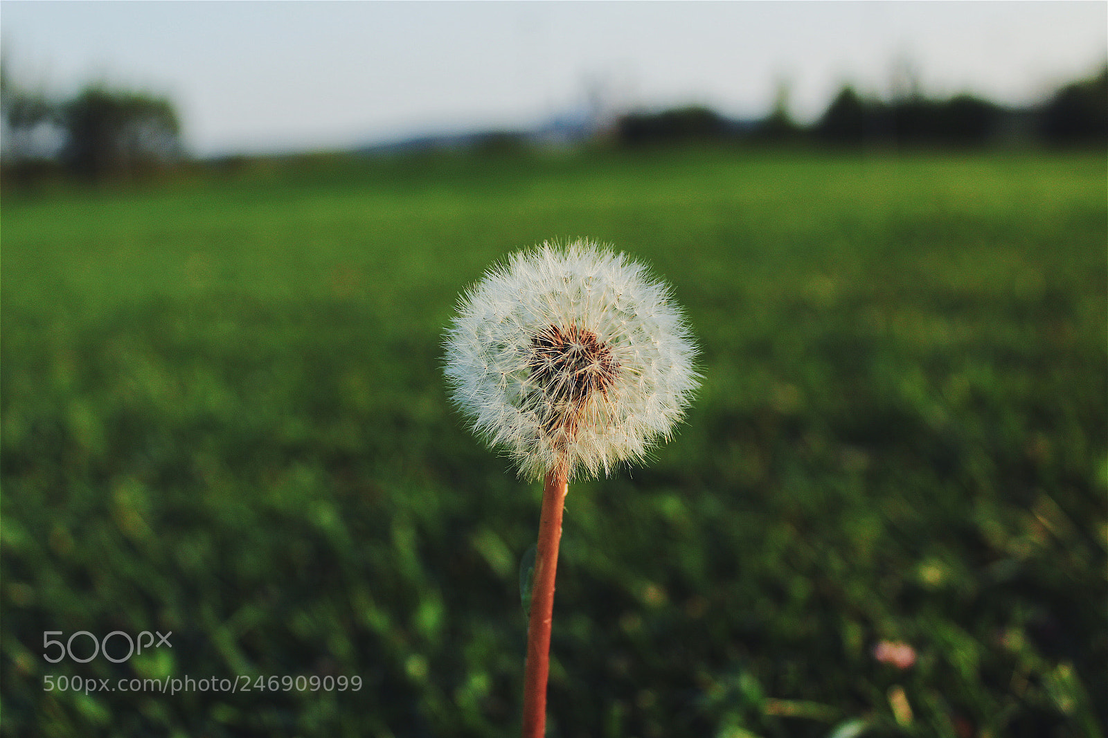 Canon EOS 1300D (EOS Rebel T6 / EOS Kiss X80) sample photo. Sessizlik.. photography