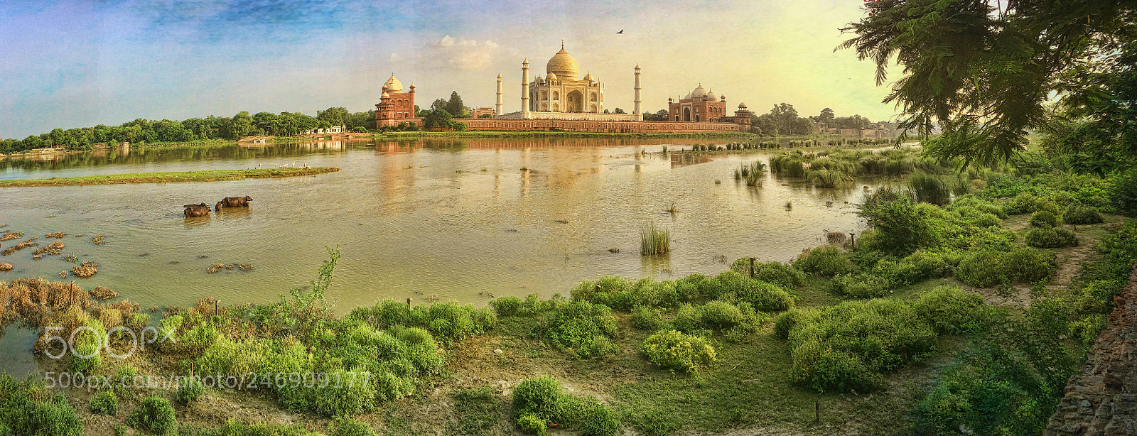 Apple iPhone 6s Plus sample photo. Taj mahal and yamuna photography
