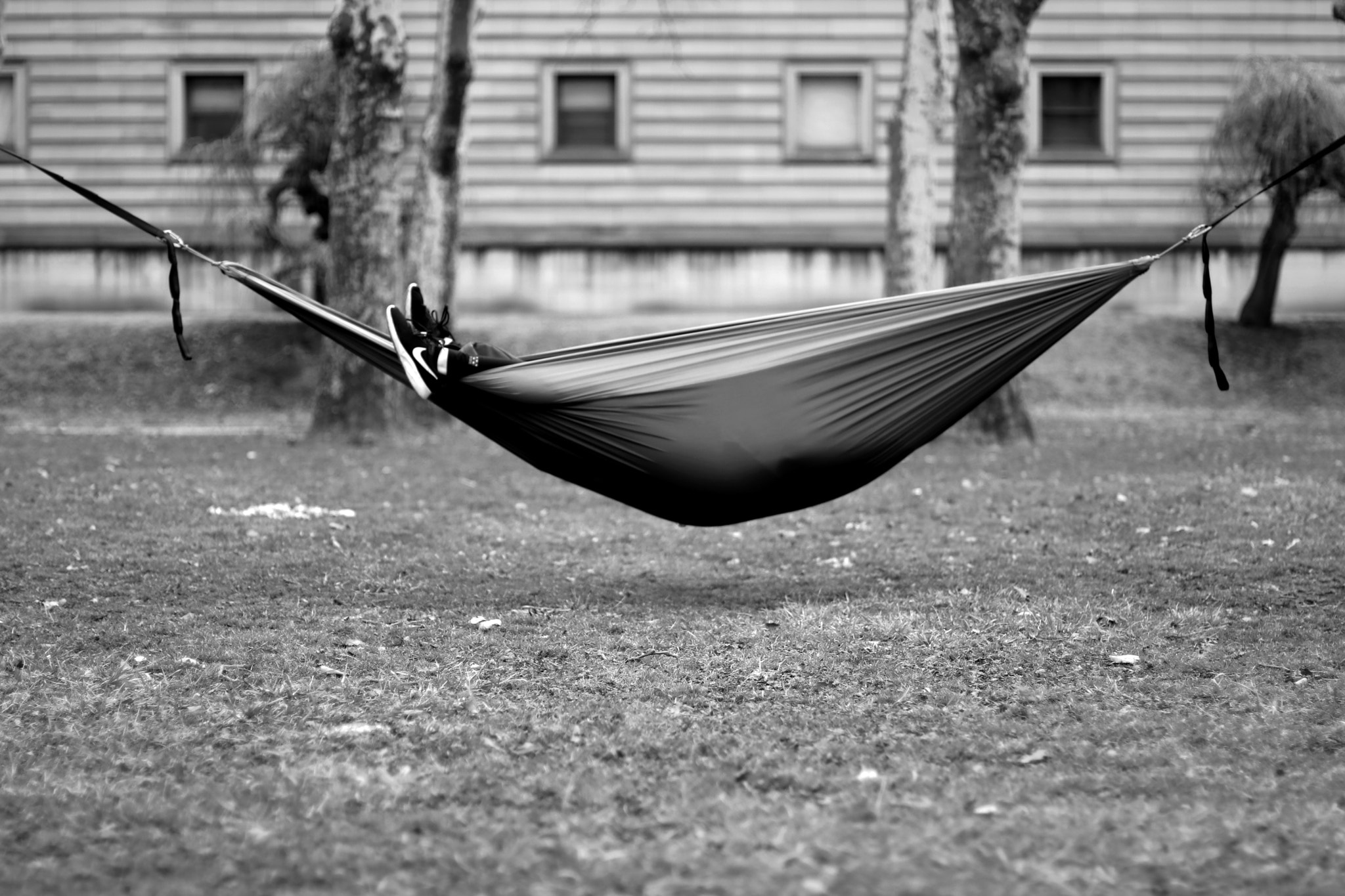 Canon EOS 80D + Canon EF 50mm F1.4 USM sample photo. Chilling photography