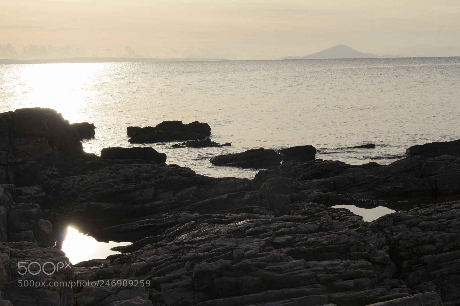 Canon EOS 600D (Rebel EOS T3i / EOS Kiss X5) sample photo. Sea of gold photography