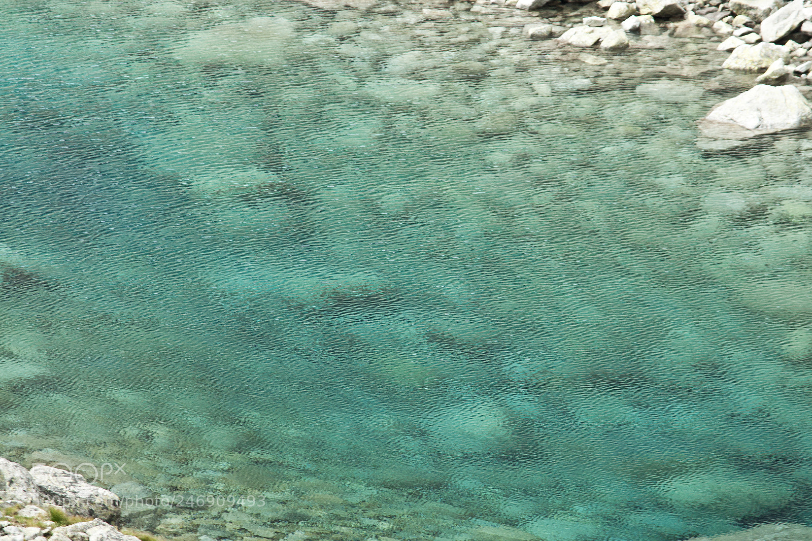 Sony Alpha DSLR-A700 sample photo. Fresh water beauty 3 photography