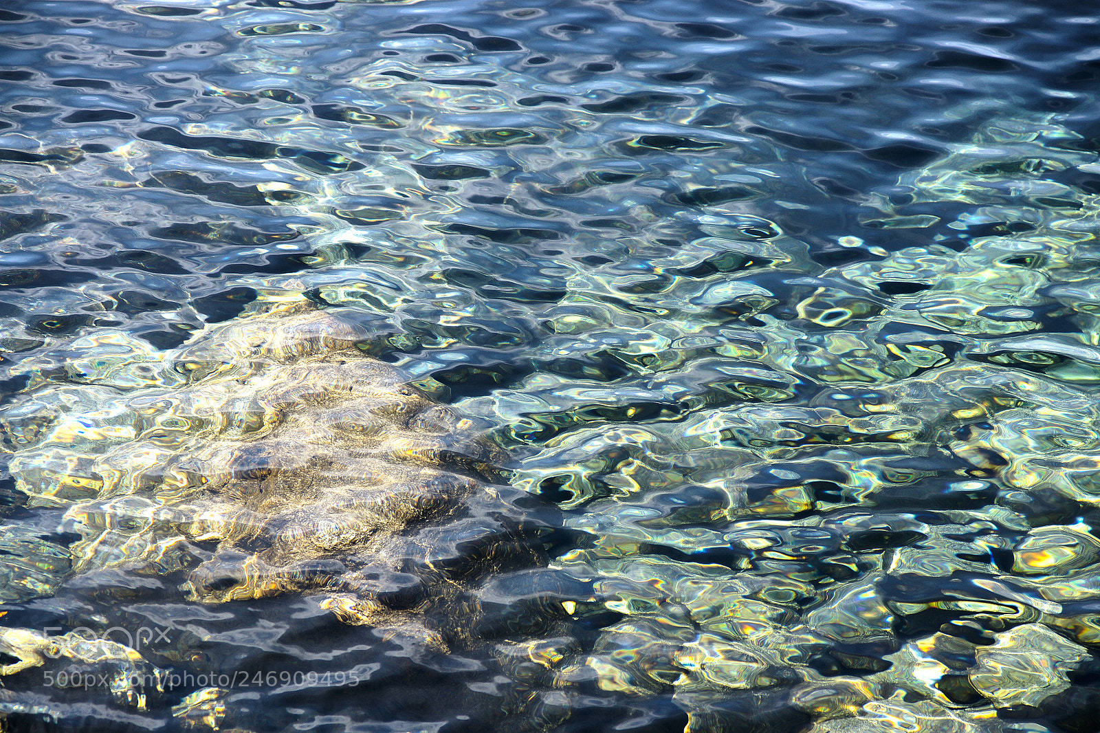 Sony Alpha DSLR-A700 sample photo. Fresh water beauty 2 photography