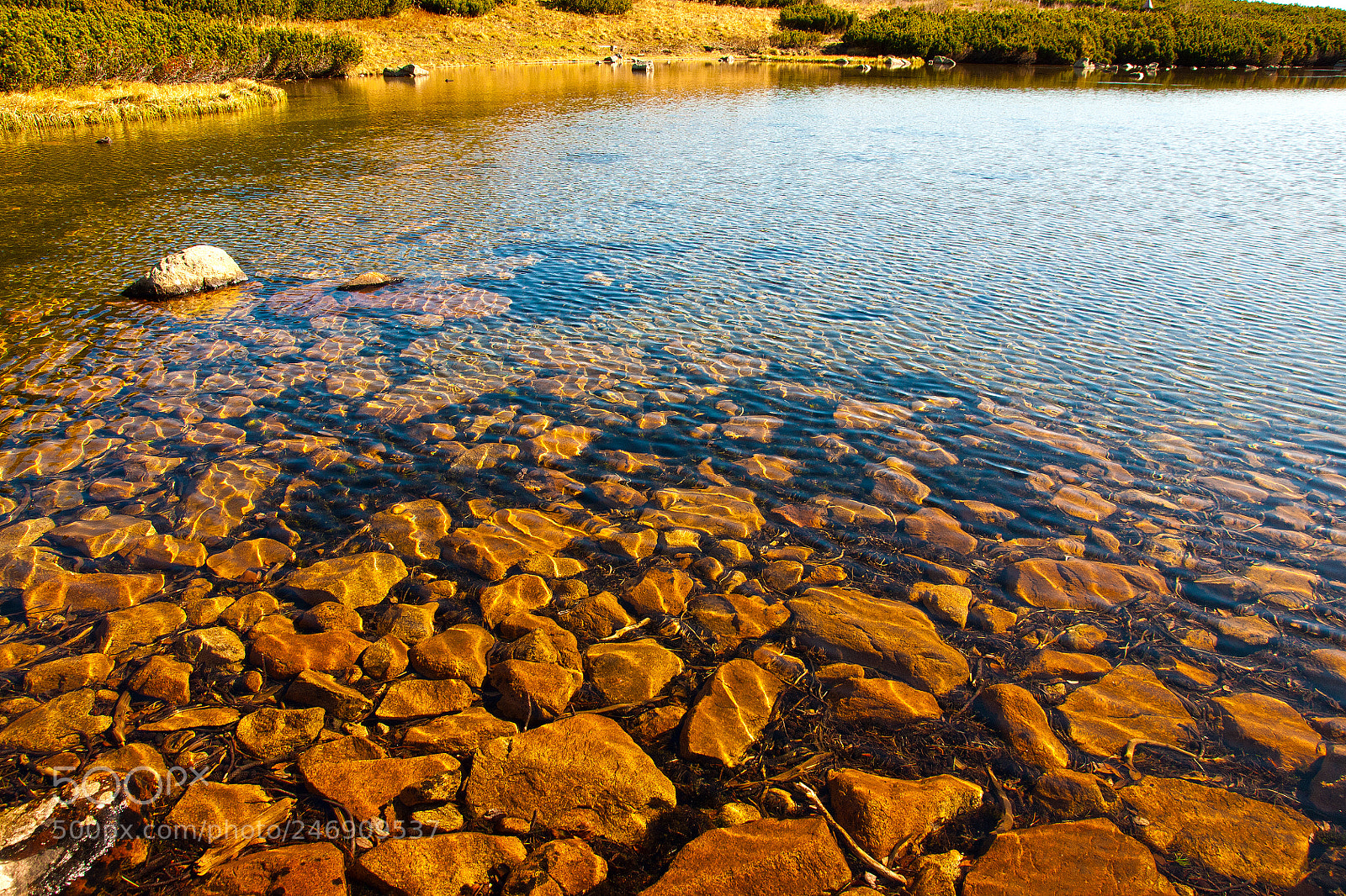 Sony Alpha DSLR-A700 sample photo. Fresh water beauty 1 photography
