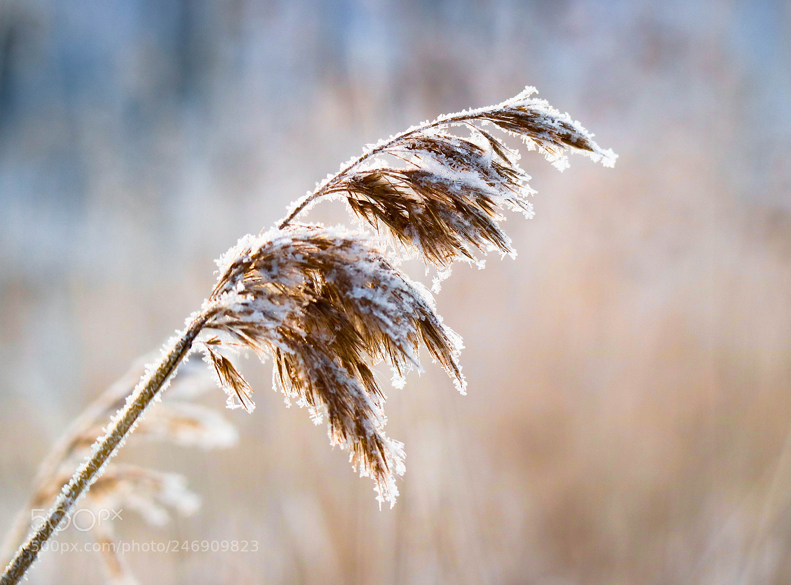 Canon EOS M3 sample photo. Frozen in time photography