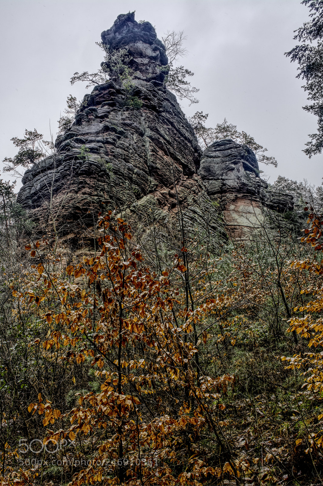 Nikon D7100 sample photo. Palatinate75 photography