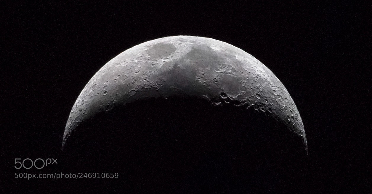 Canon EOS 600D (Rebel EOS T3i / EOS Kiss X5) sample photo. The dark side of photography