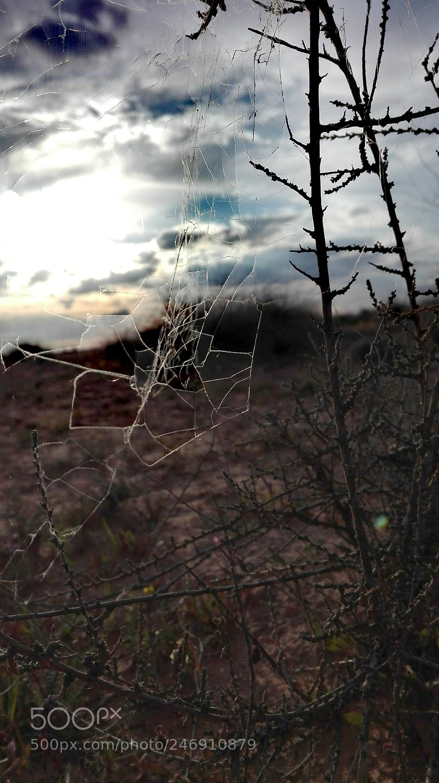 HUAWEI Y6II sample photo. Untitled photography