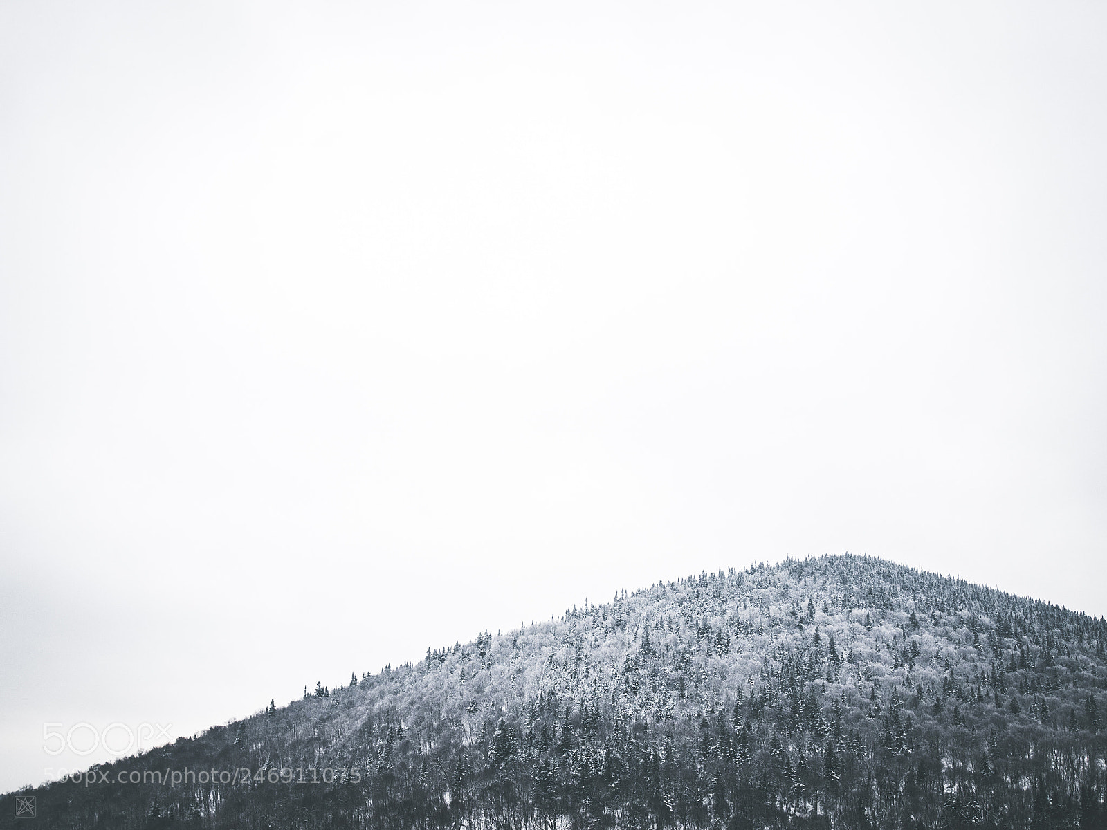 Olympus OM-D E-M10 II sample photo. Mont m gantic photography