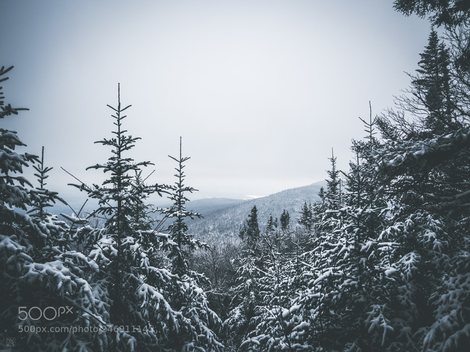 Olympus OM-D E-M10 II sample photo. Mont m gantic photography