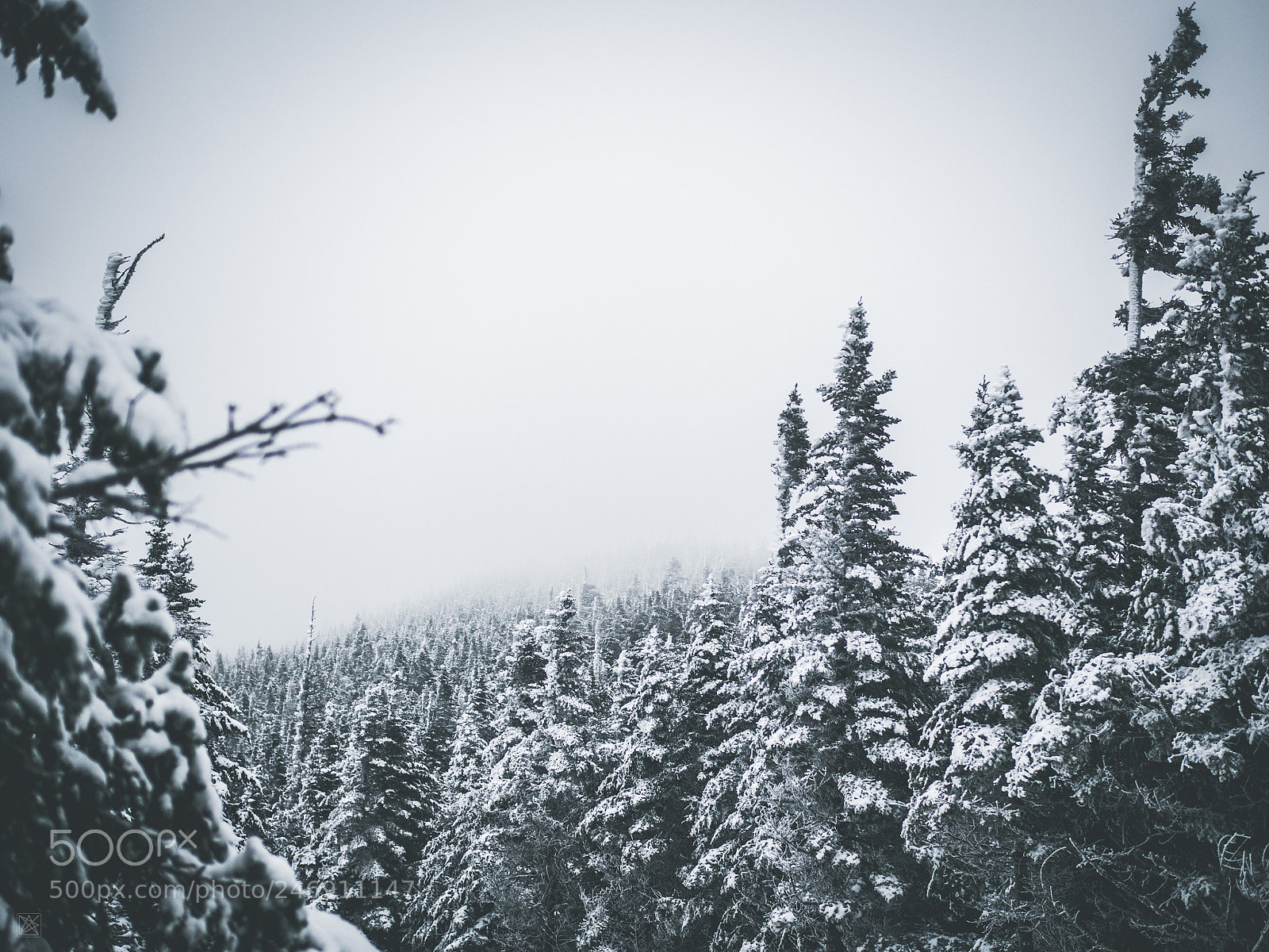 Olympus OM-D E-M10 II sample photo. Mont m gantic photography