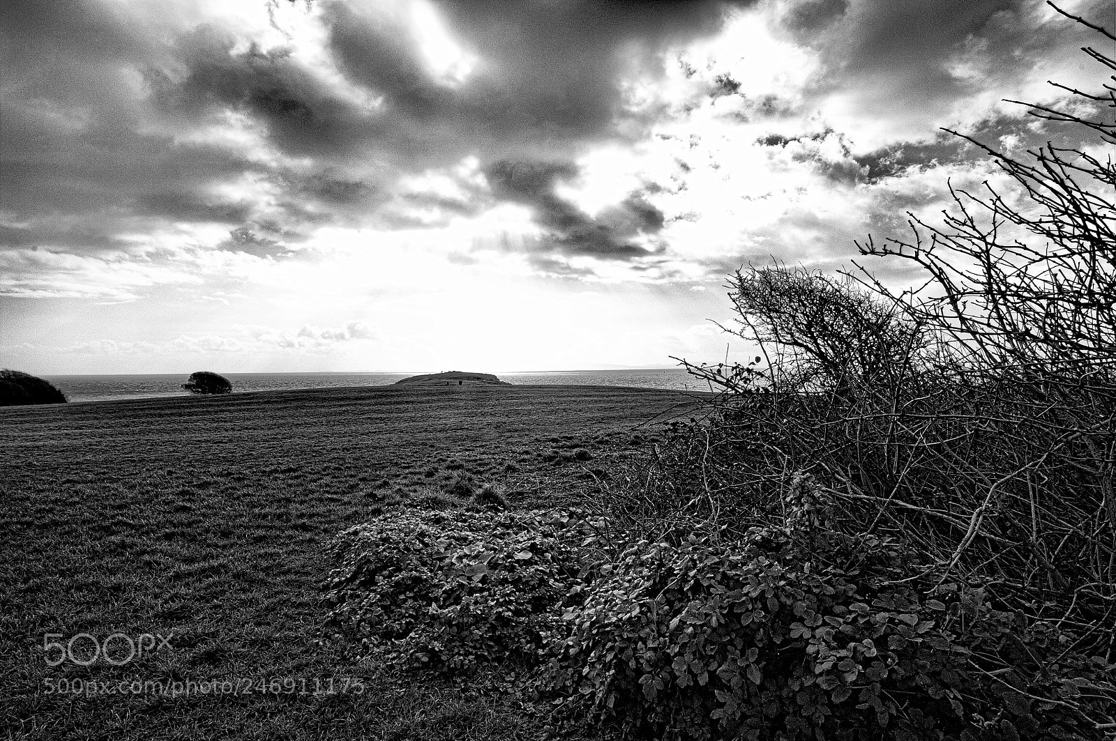 Nikon D2X sample photo. Winter headland photography