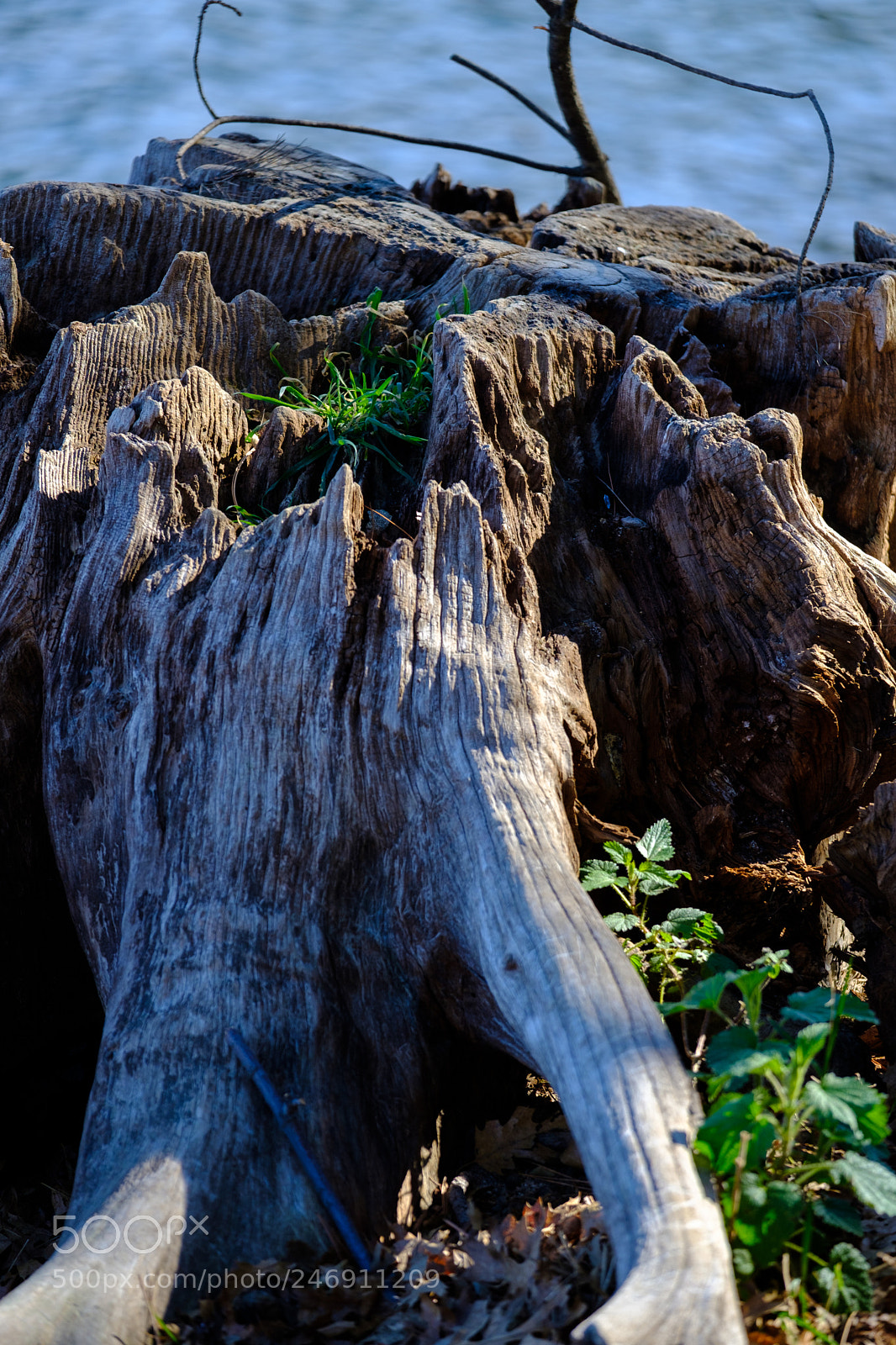 Fujifilm X-T2 sample photo. Lake gregory 9846 photography