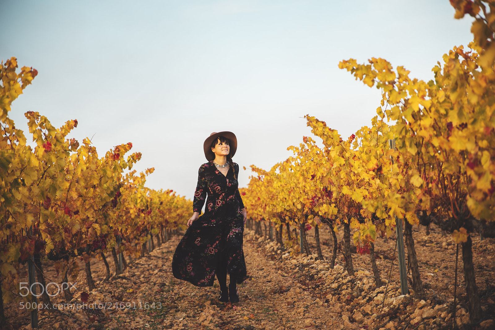 Nikon D610 sample photo. Un paseo entre vi photography