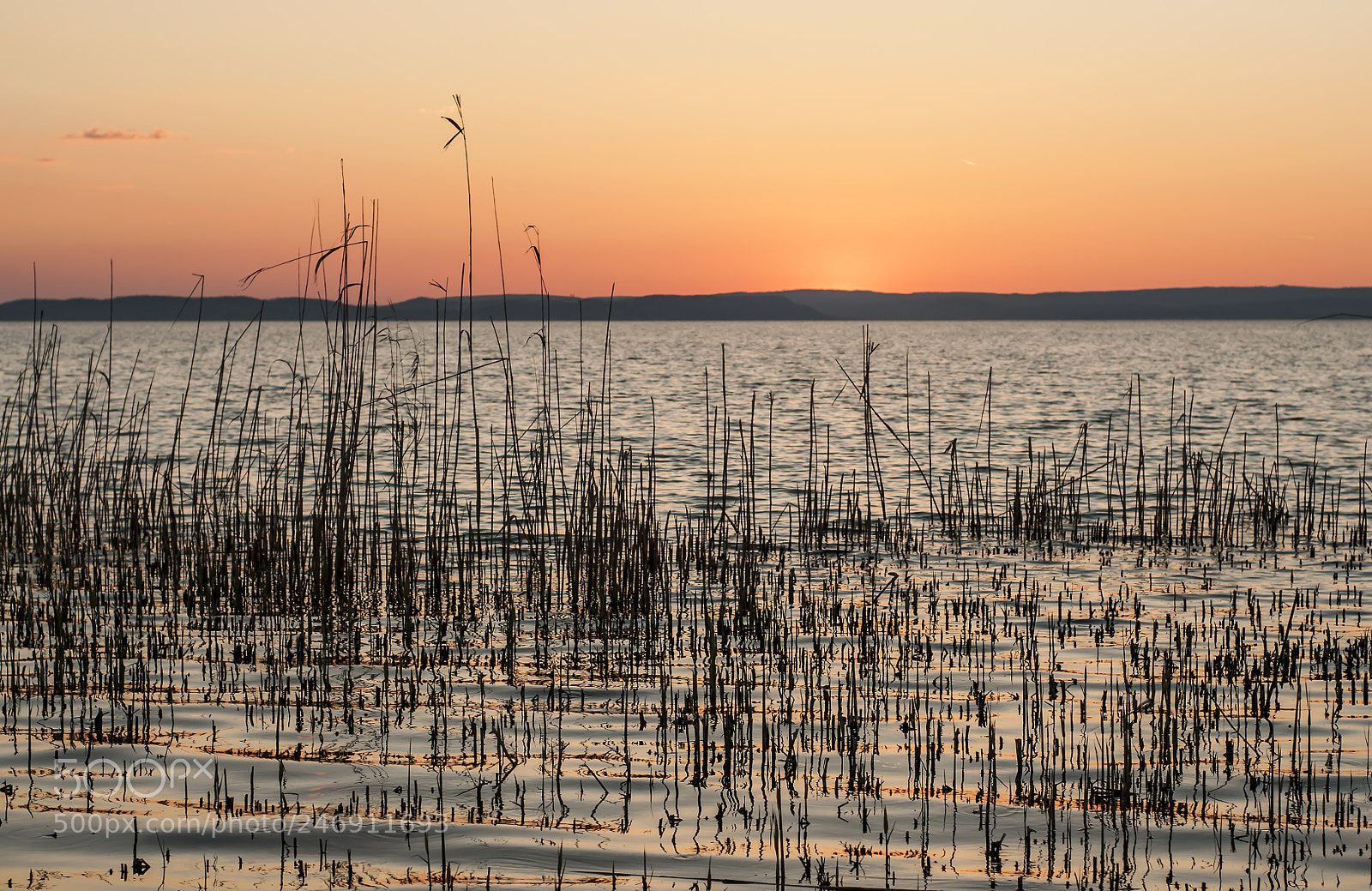 Nikon D90 sample photo. Balaton photography