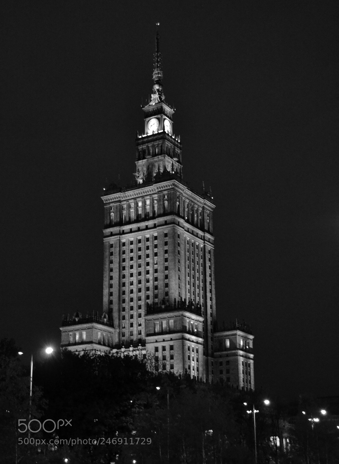 Nikon D3100 sample photo. Pkin photography