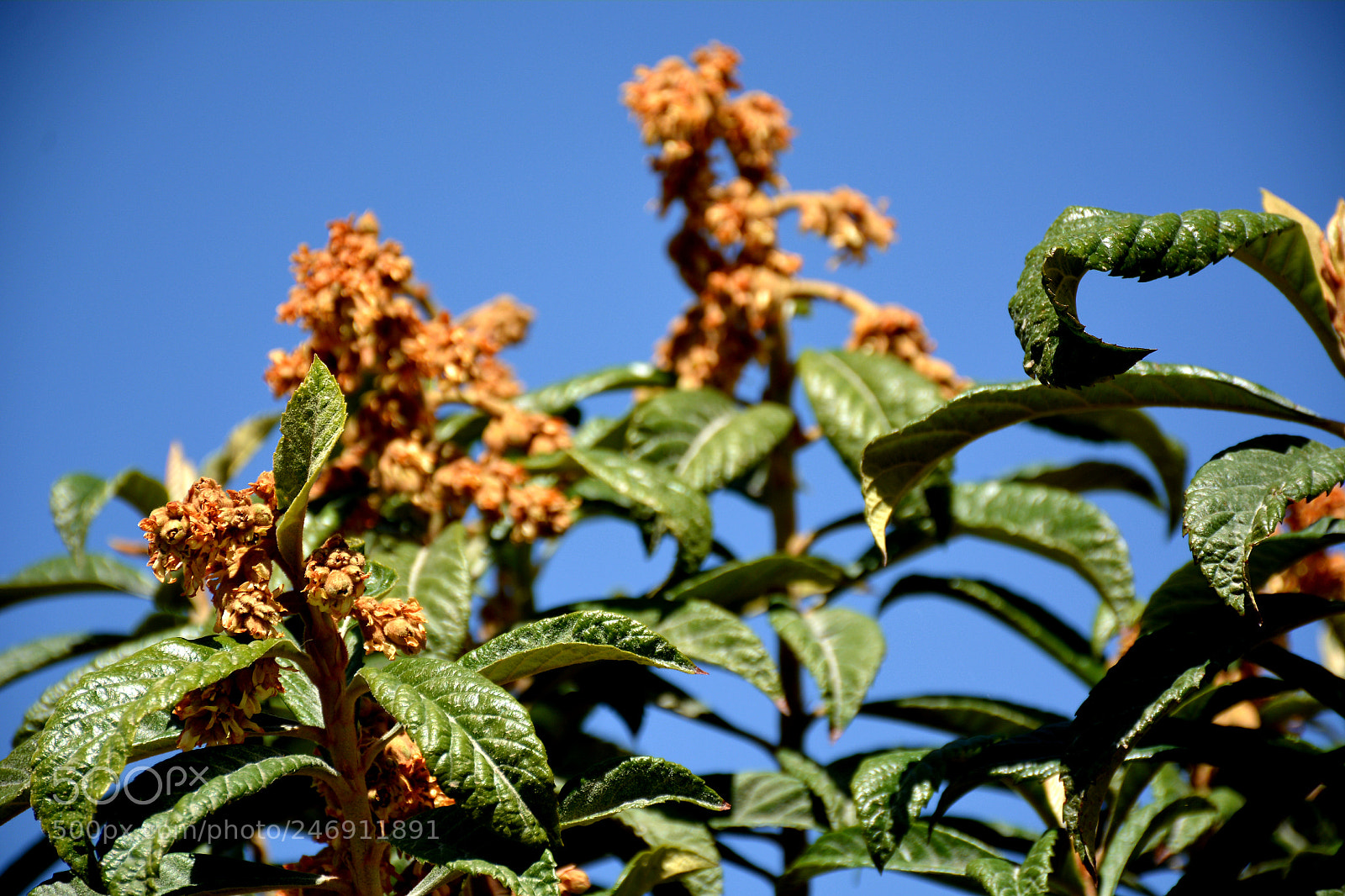 Nikon D7100 sample photo. Untitled photography