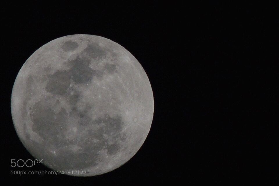Nikon D3200 sample photo. Untitled photography