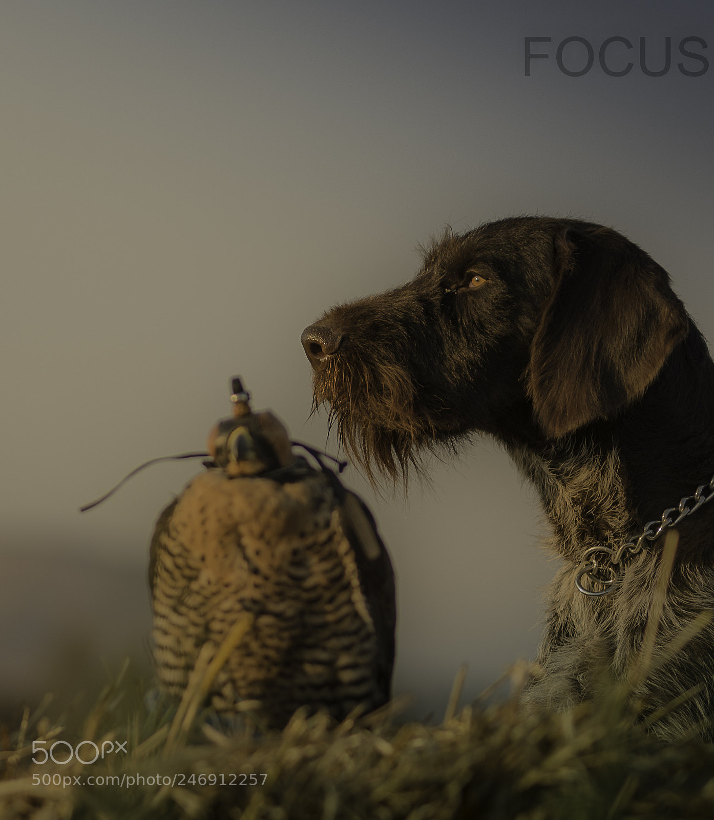 Nikon D800 sample photo. Untitled photography