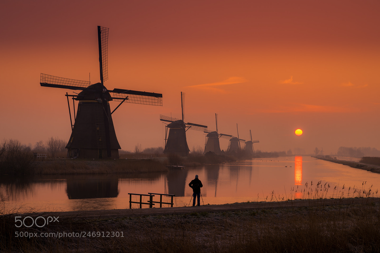 Nikon D810 sample photo. Kinderdijk sunrise photography