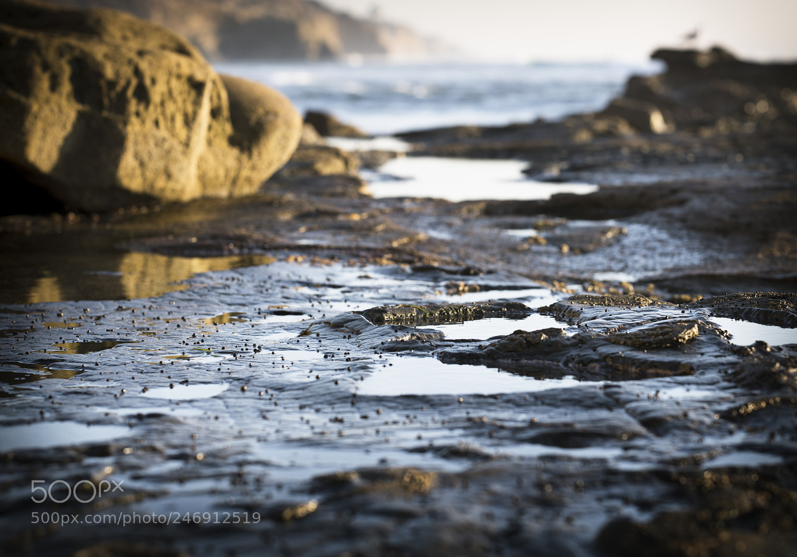 Nikon D850 sample photo. Cliffs edge photography