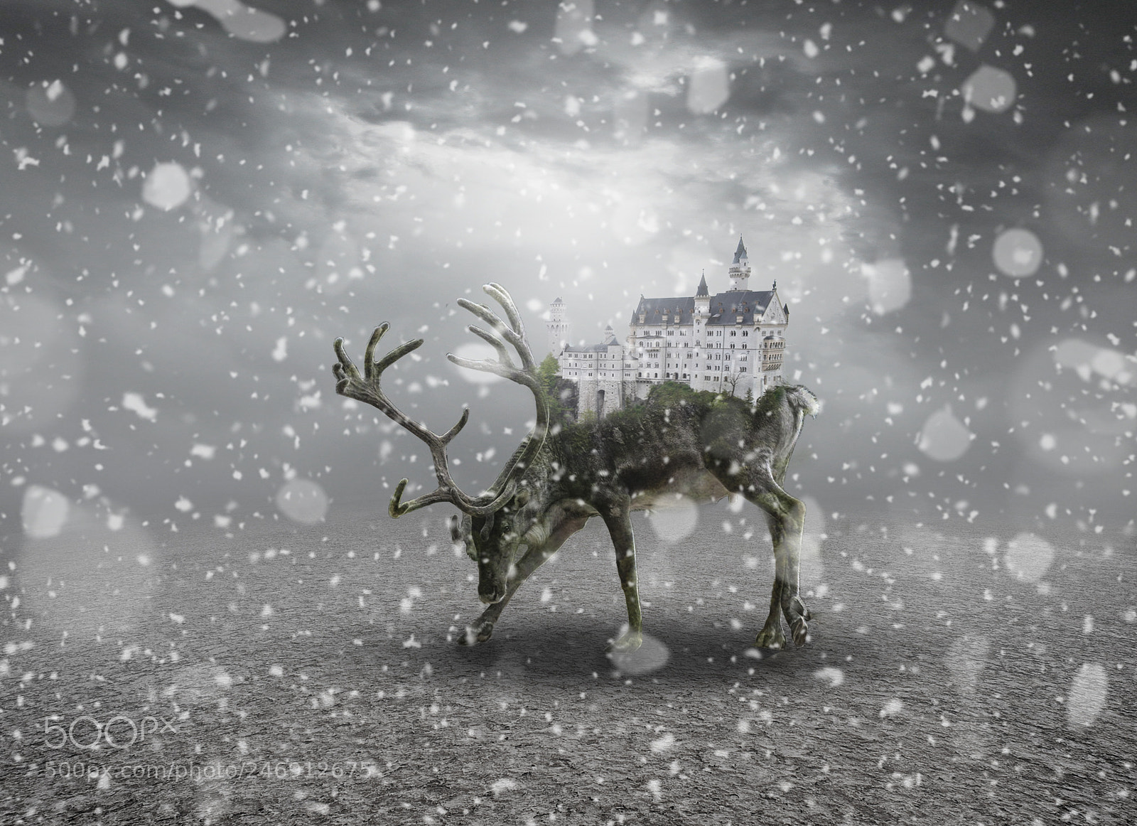 Nikon D700 sample photo. Fantasy deer photography