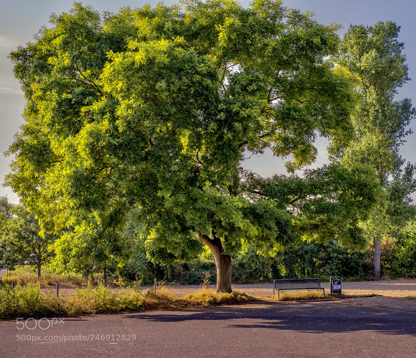 Pentax K-1 sample photo. Sommerspaziergang photography