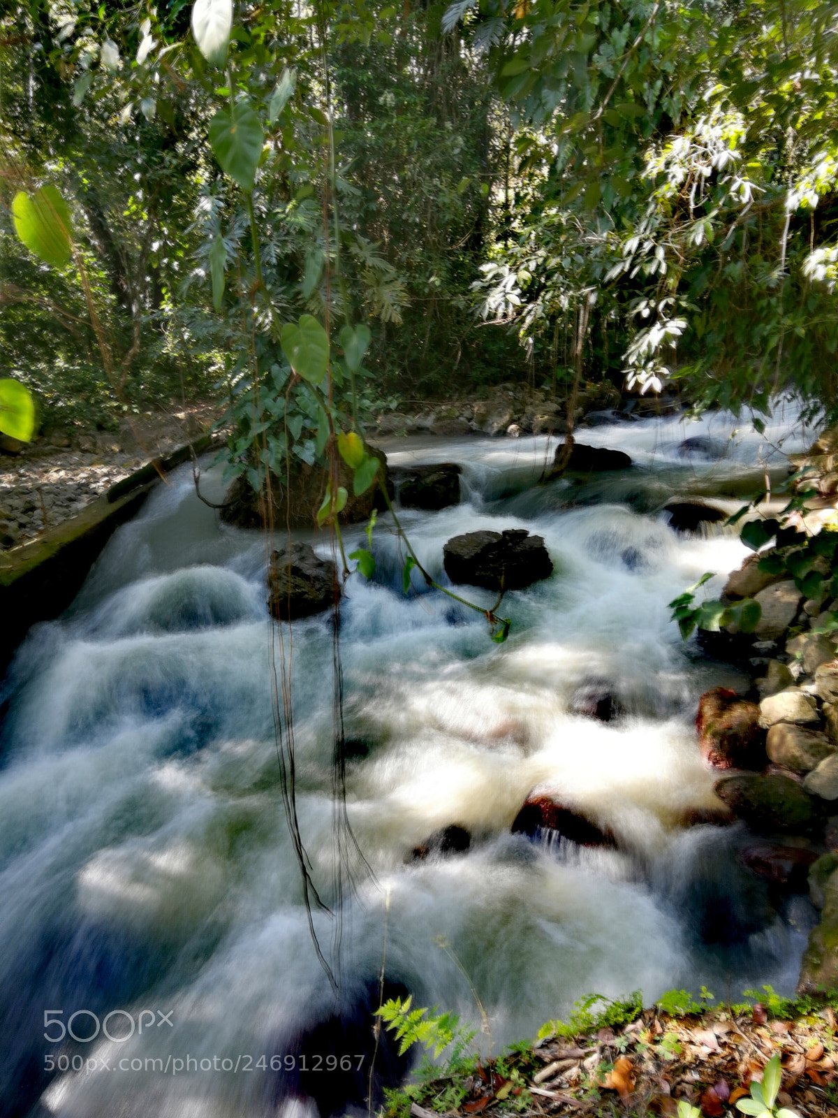 HUAWEI honor 6x sample photo. Agua zarca photography