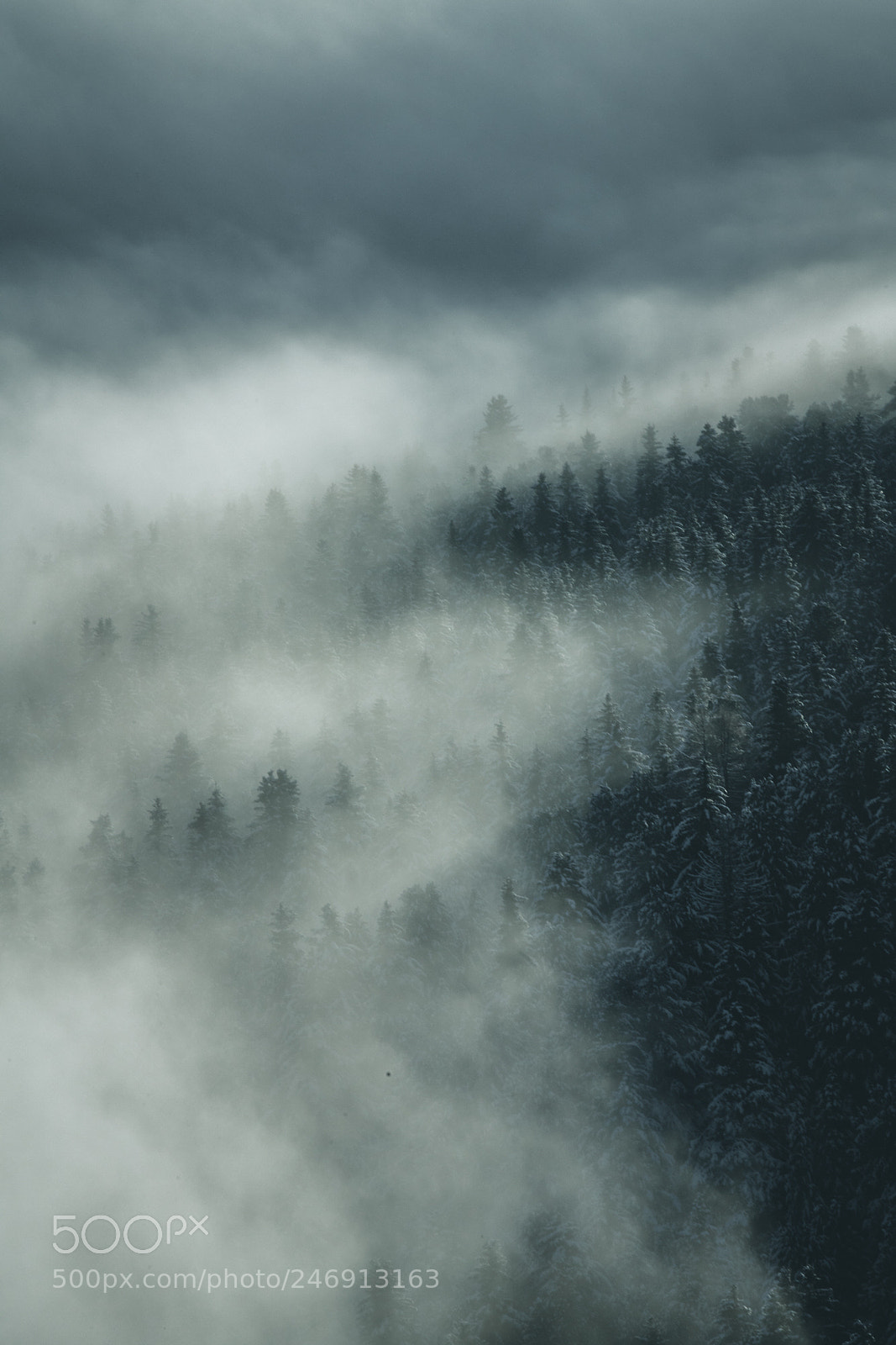 Sony a7R III sample photo. Walde photography