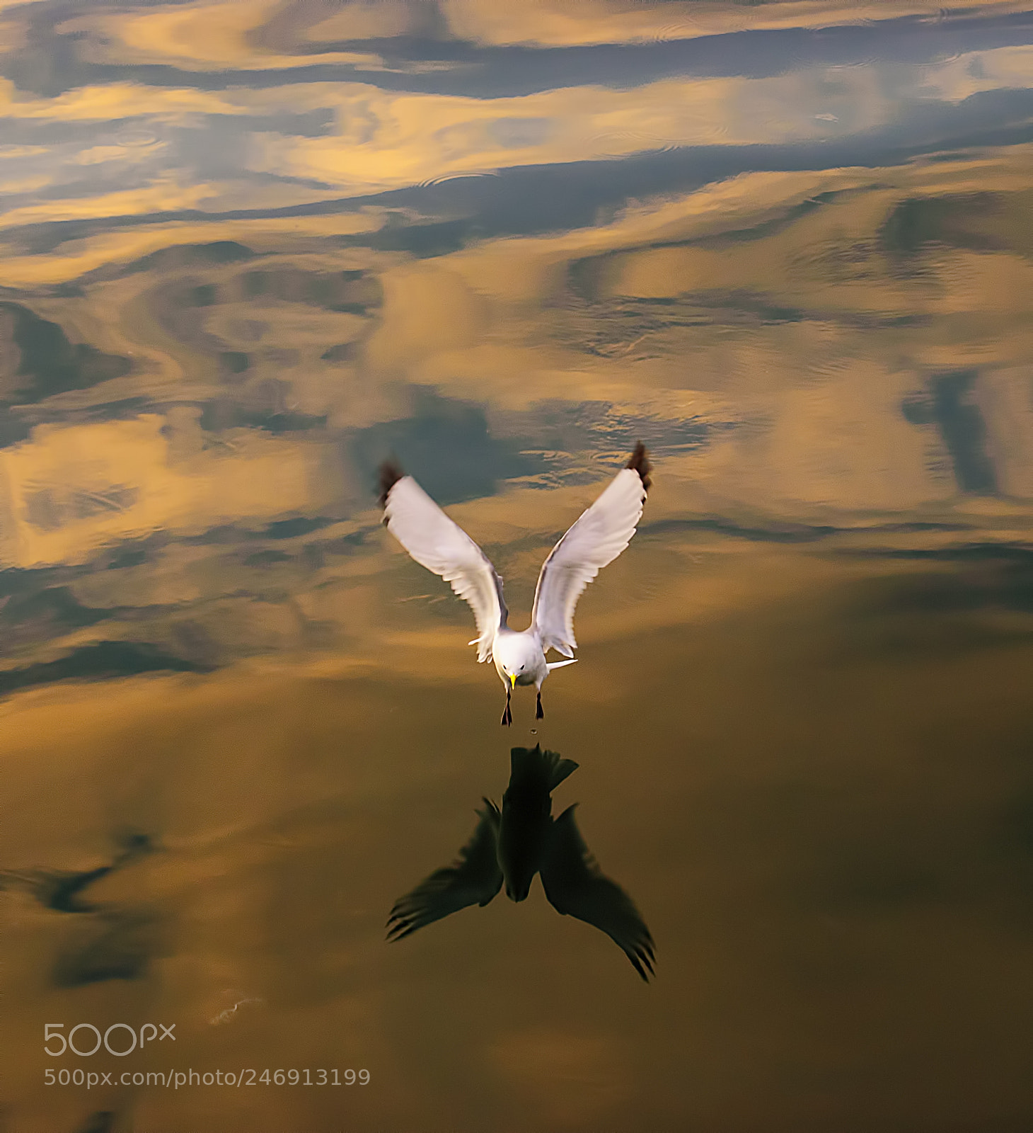Nikon D60 sample photo. Reflection photography
