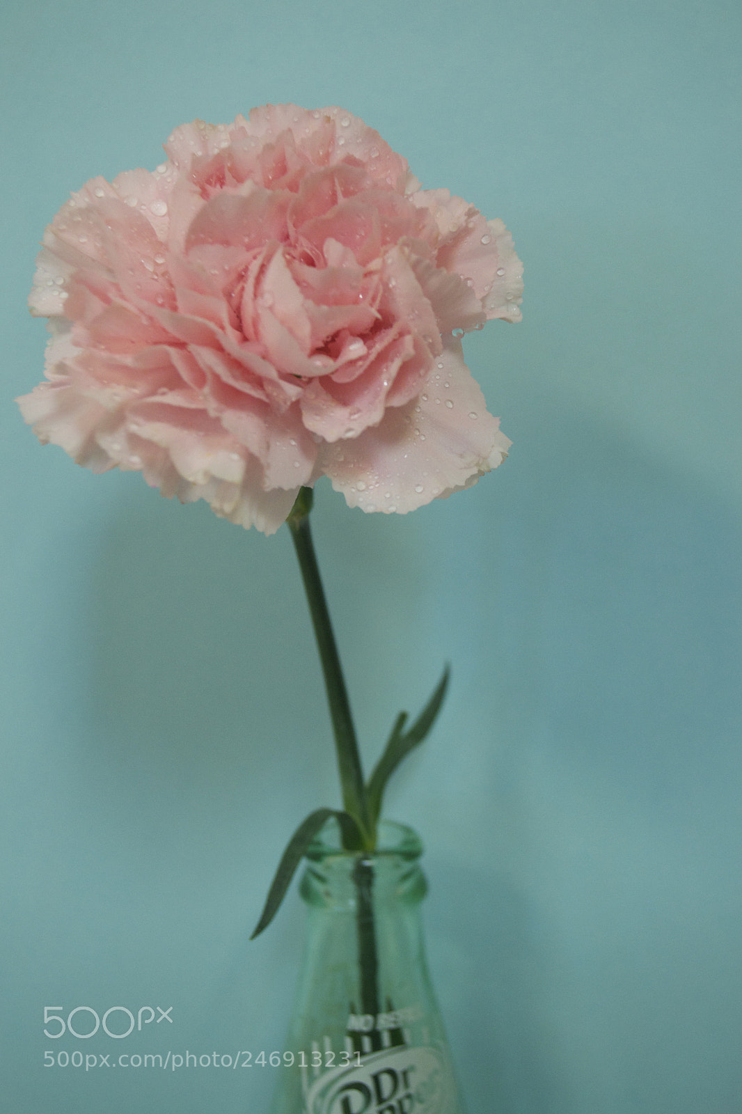 Nikon D3100 sample photo. Hi there photography