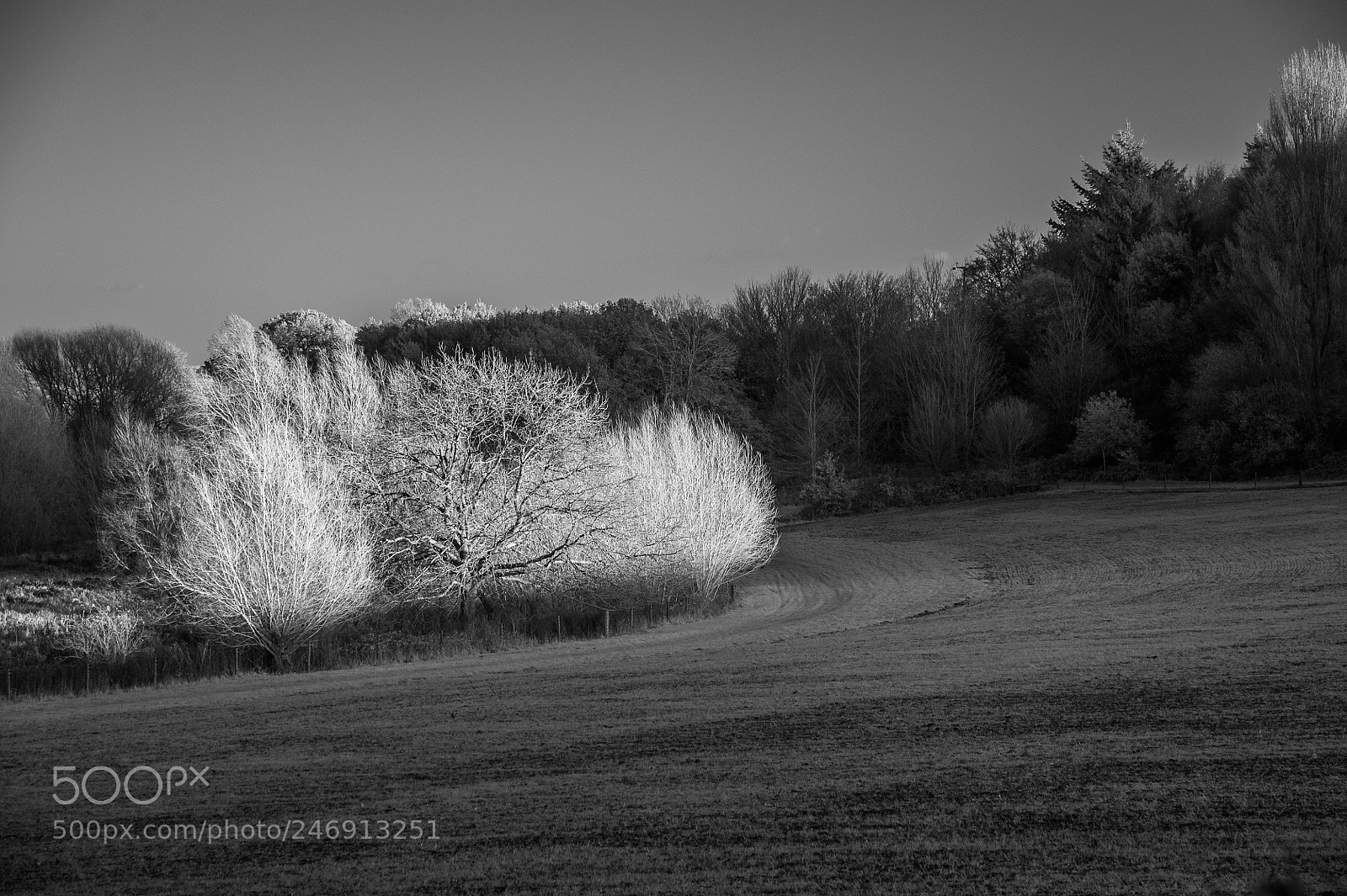 Nikon D700 sample photo. Chelsworth water meadows #2 photography