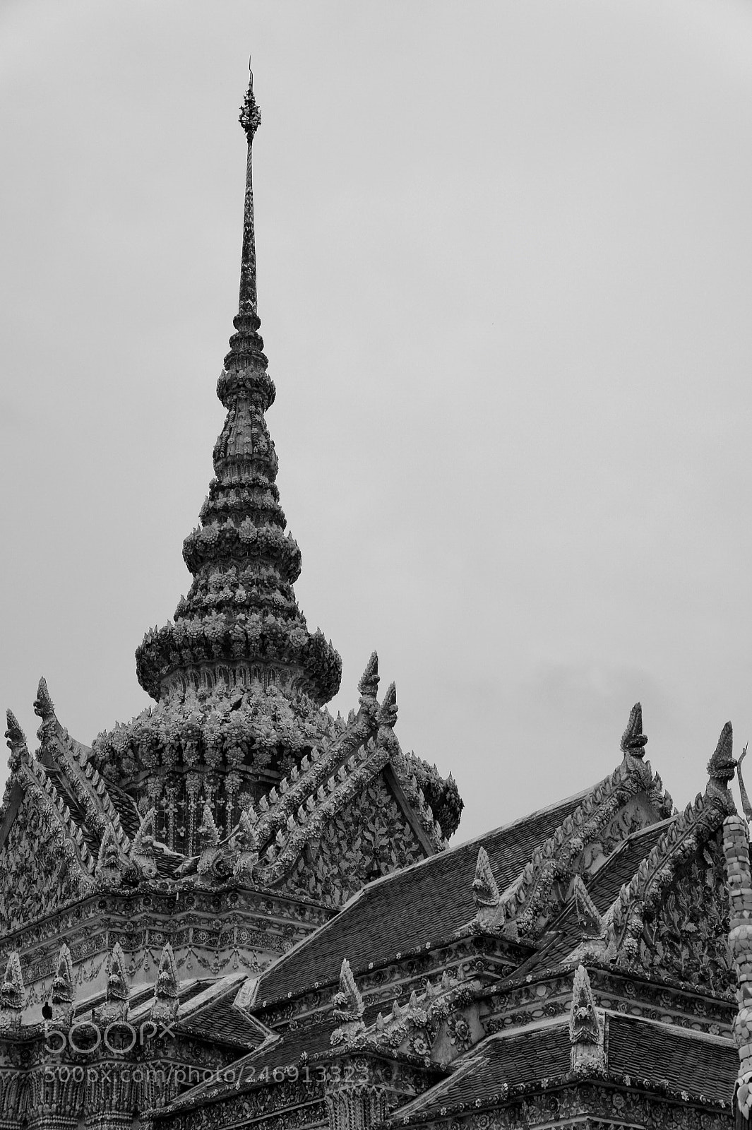 Sony Alpha NEX-5 sample photo. Untitled photography