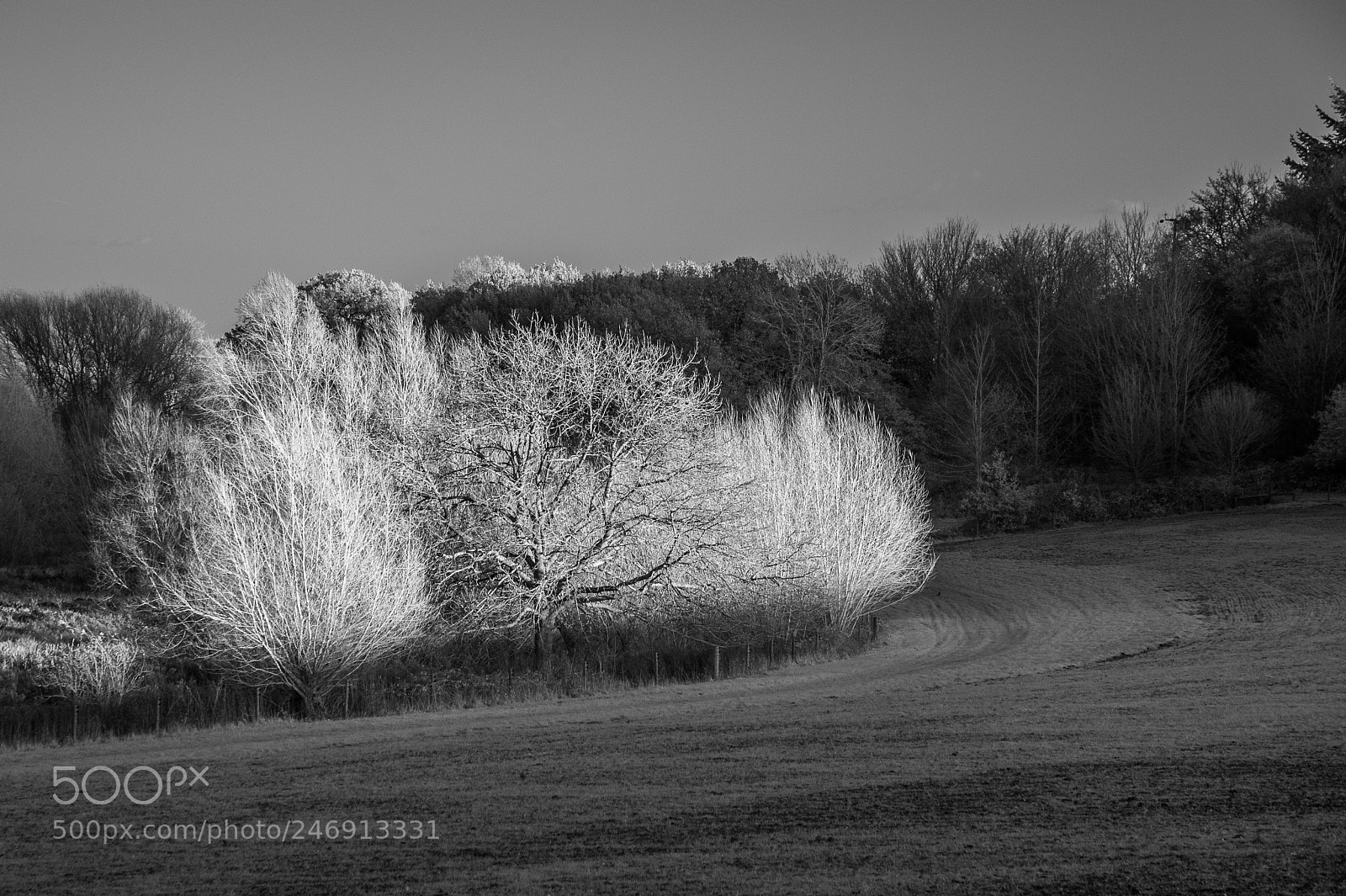 Nikon D700 sample photo. Chelsworth water meadows #3 photography