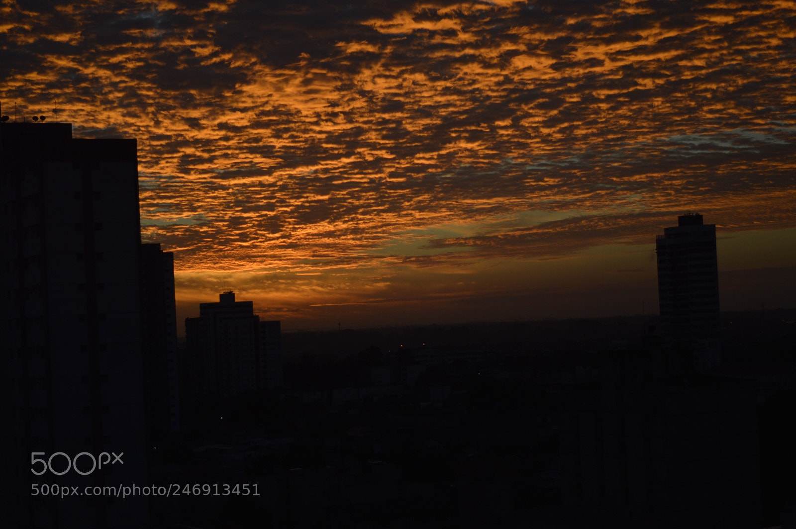 Nikon D3200 sample photo. Untitled photography