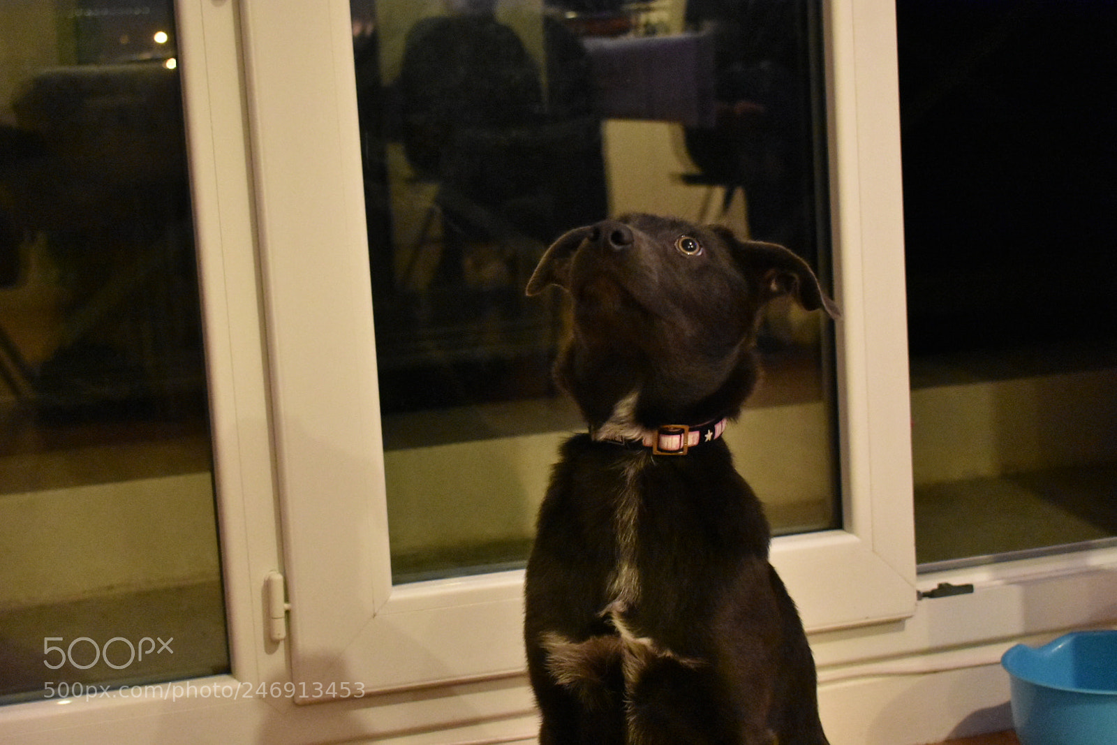 Nikon D3400 sample photo. Neila. photography