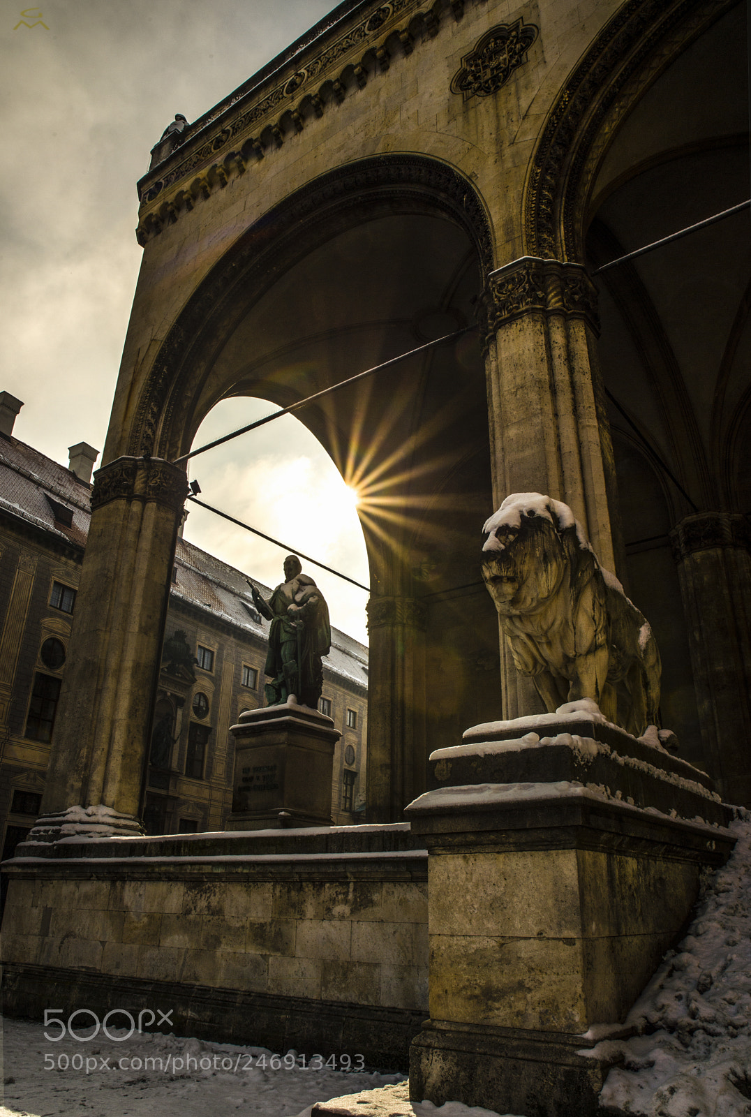 Nikon D4 sample photo. Bavarian snow lion photography