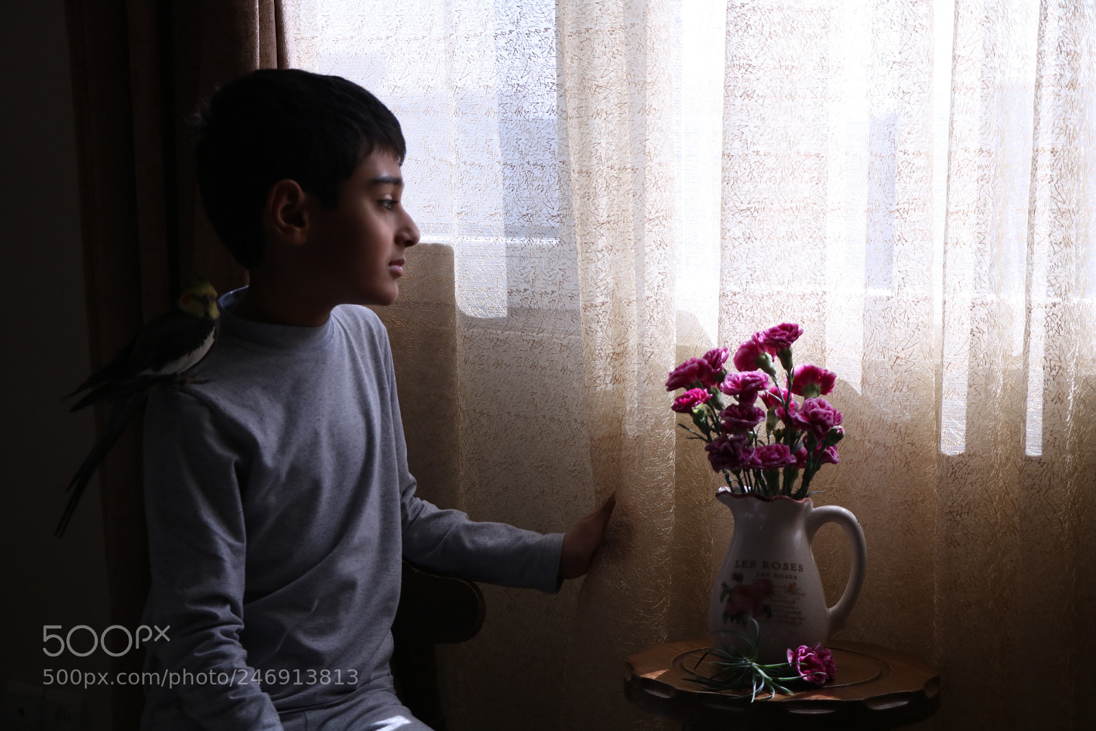 Canon EOS 750D (EOS Rebel T6i / EOS Kiss X8i) sample photo. Untitled photography