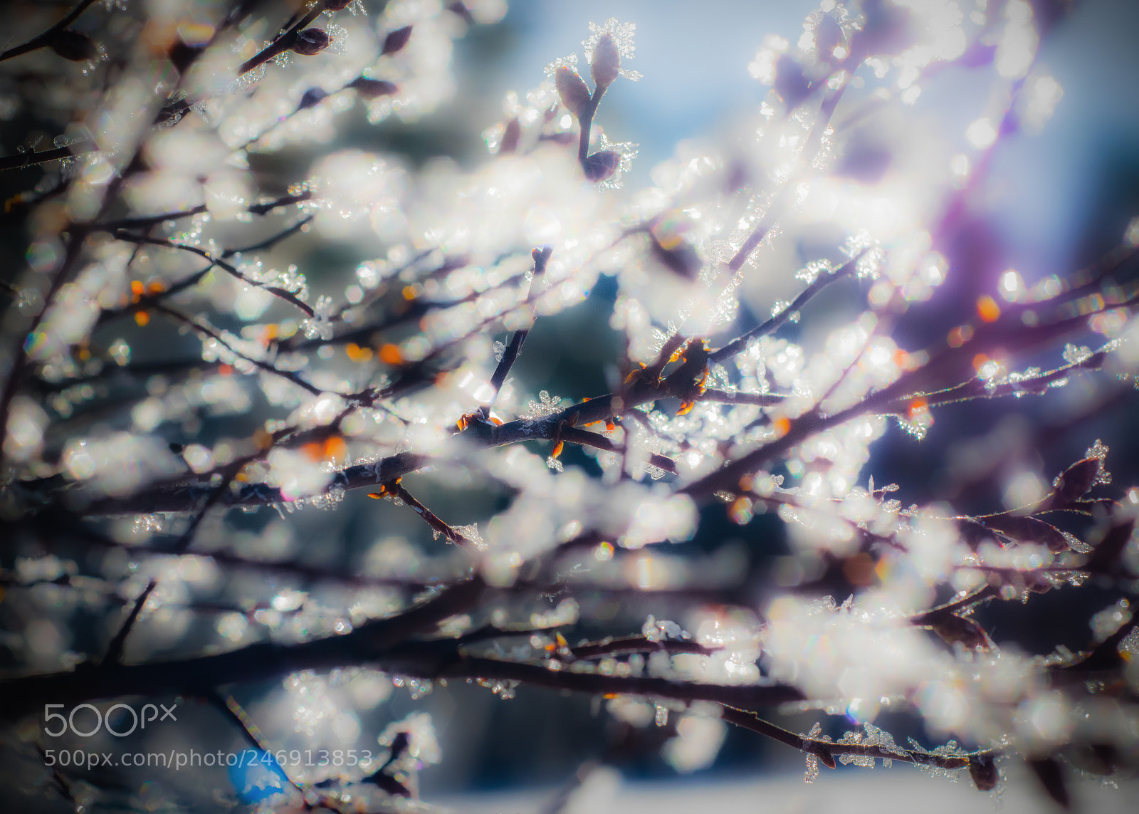 Pentax K-3 sample photo. Cold flares photography