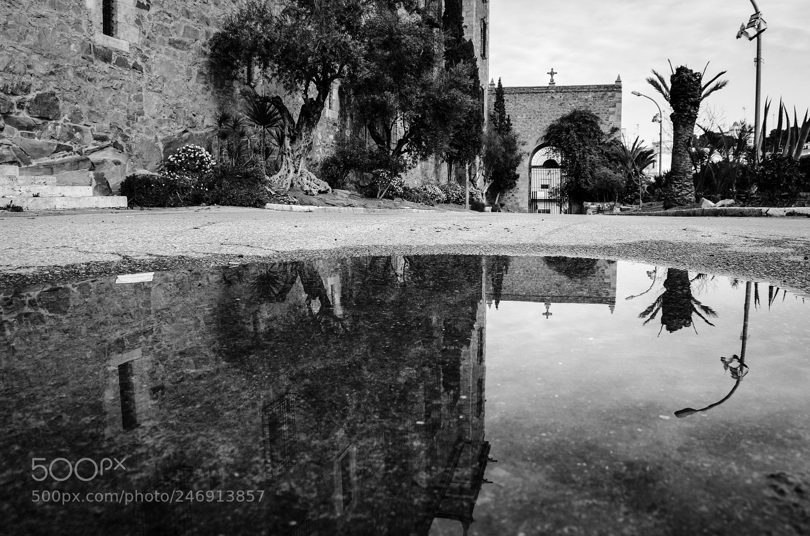 Nikon D5100 sample photo. Reflection... photography