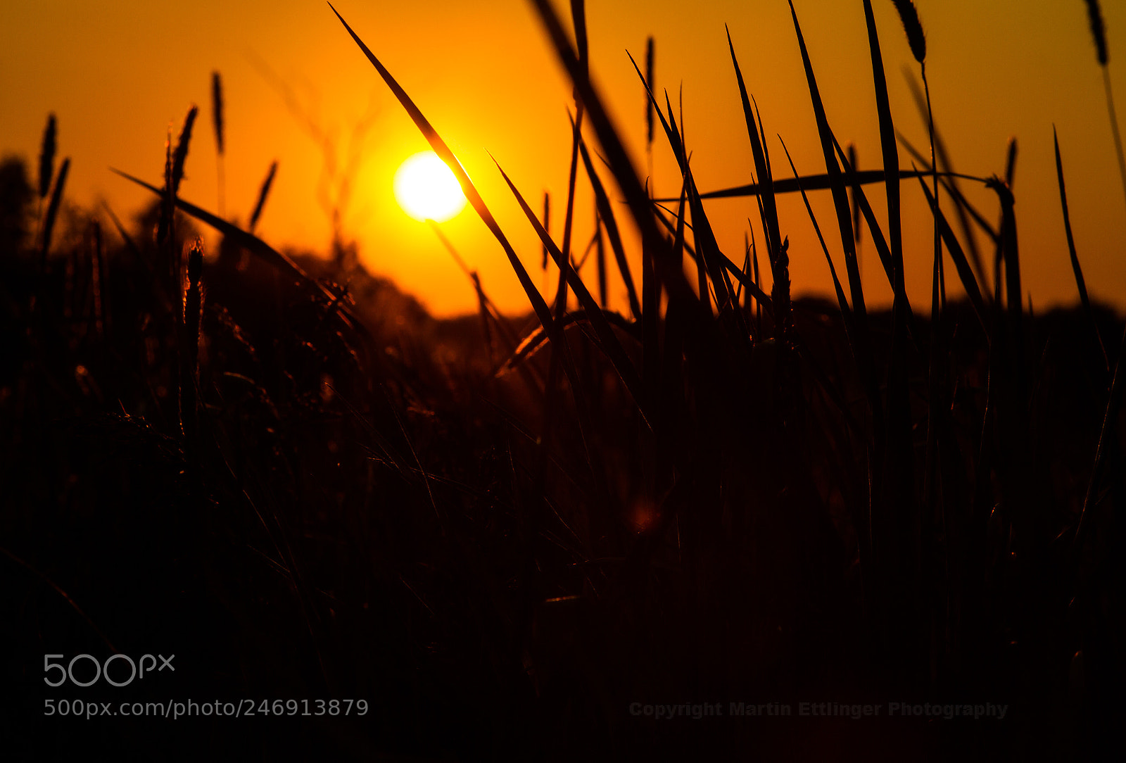 Canon EOS 7D sample photo. Sunset 09052016 photography