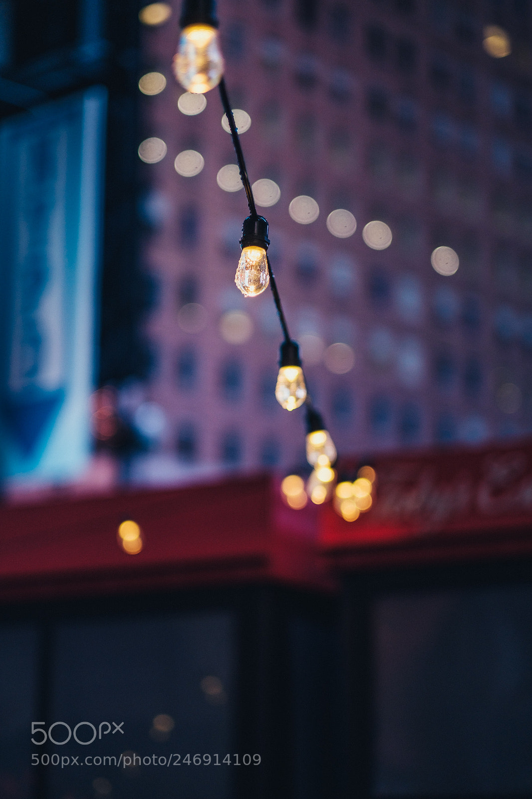 Fujifilm X-T2 sample photo. Focus and depth photography