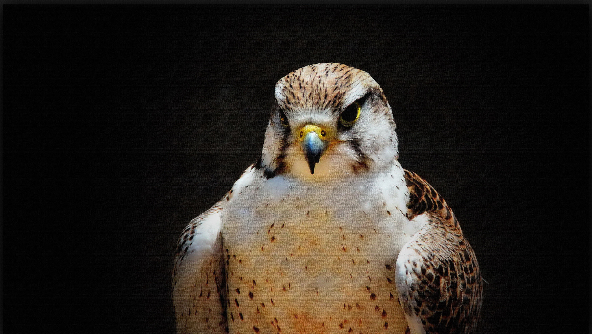 Canon EOS sample photo. Sight photography