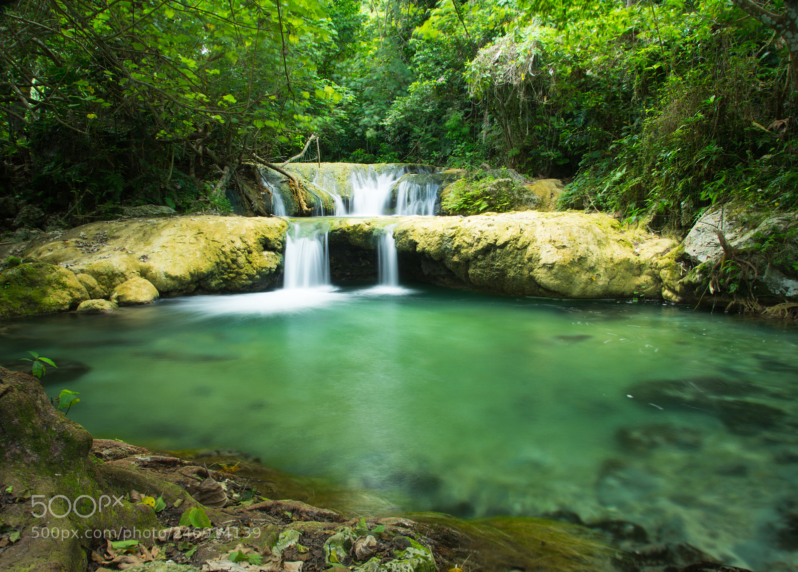 Nikon D7200 sample photo. Green pond photography